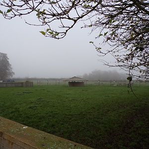 Deer enclosure