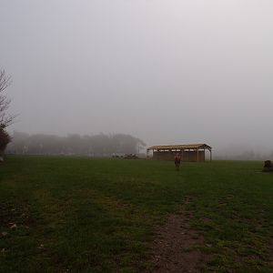 First Red deer enclosure