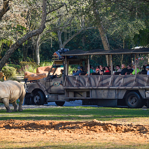 Jan. 2023 - Kilamanjaro Safaris