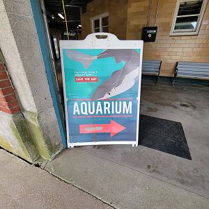 Save the Bay 7/22 - Sign to aquarium entrance (beach side of building)