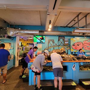 Save the Bay 7/22 - Touch tank, inside entrance