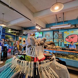 Save the Bay 7/22 - Touch tank, gift shop area