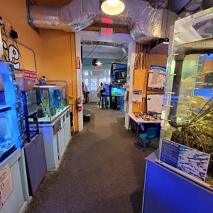 Save the Bay 7/22 - Path through room