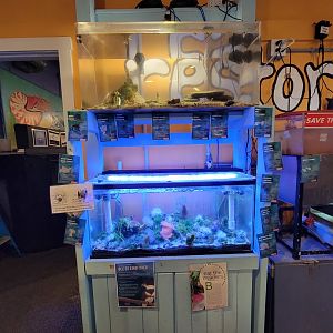 Save the Bay 7/22 - Previous two tanks