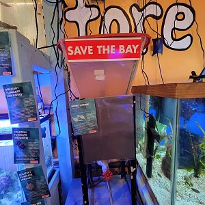 Save the Bay 7/22 - Brine shrimp
