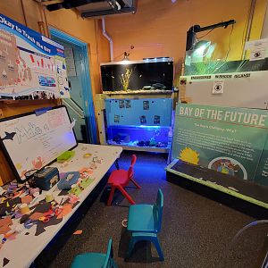 Save the Bay 7/22 - Craft area