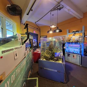 Save the Bay 7/22 - View of room