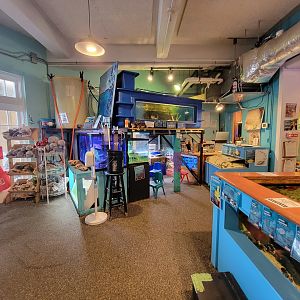 Save the Bay 7/22 - Even more tanks