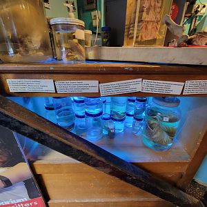 Save the Bay 7/22 - specimens