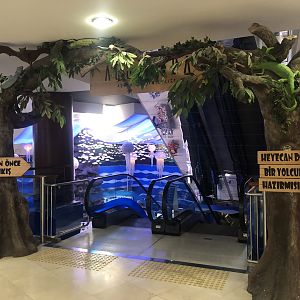 Enterance of Aqua Vega from inside the Shopping Mall