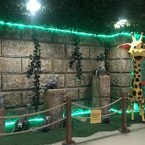 Enterance of Aqua Vega from the underground parking lot