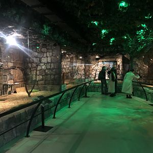 Primates Enclosures at Aqua Vega
