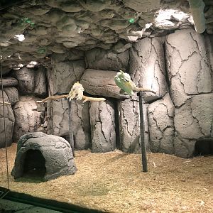 Cockatoo Enclosure at Aqua Vega