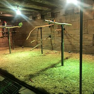 Macaw Enclosure at Aqua Vega