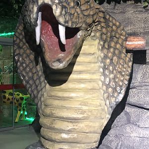 Cobra Photo Prop at Aqua Vega