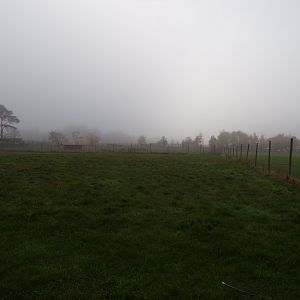 Reindeer enclosure (2)