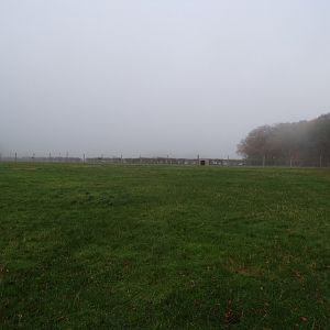 White-lipped deer enclosure (3)