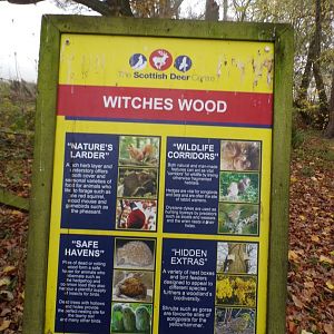 Signage on the Witches wood