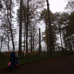 Former red fox enclosure