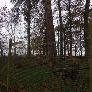 Former red fox enclosure (2)
