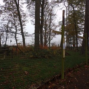 Former red fox enclosure (3)