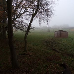 Eurasian elk enclosure (2)