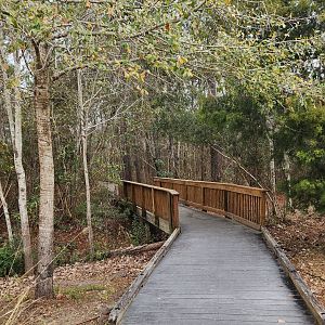 Sewee Center -  Path to Red Wolves