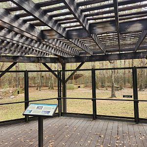 Sewee Center - Red Wolf viewing deck