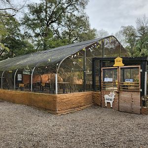 Bee City Zoo (2023) - Budgie aviary