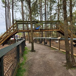 Bee City Zoo (2023) - Mini Goat bridge