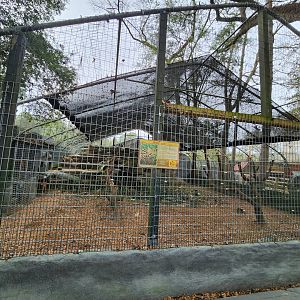 Bee City Zoo (2023) - Serval enclosure