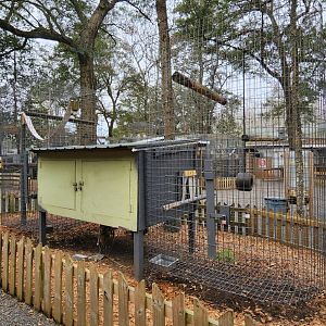 Bee City Zoo (2023) - Primate prison 2