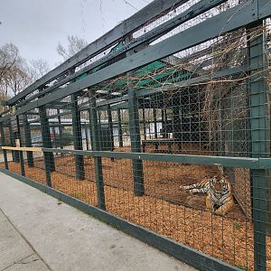 Bee City Zoo (2023) - Big Cat cage row
