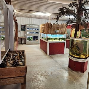 Bee City Zoo (2023) - "Nature Center" exhibit room