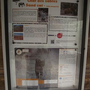 Sand Cat signage