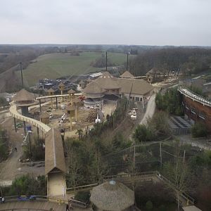 Works on the future Amazonian aviary - 01/2023