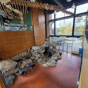 Zoo Sauvage 10/22 -  Visitor Centre, odd area of first floor