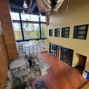 Zoo Sauvage 10/22 -  Visitor Centre, odd area of first floor