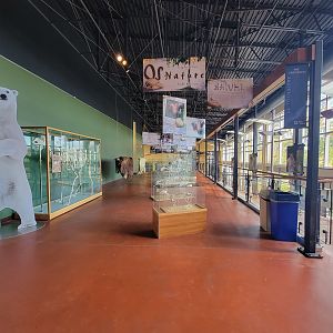 Zoo Sauvage 10/22 -  Visitor Centre, Nature Exhibition