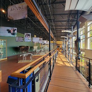 Zoo Sauvage 10/22 -  Visitor Centre, path back to first floor