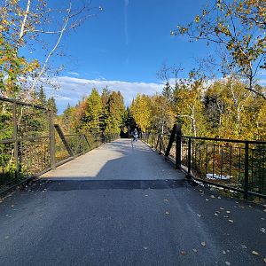Zoo Sauvage 10/22 -  Bridge to Laurentian Forest