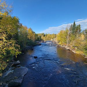 Zoo Sauvage 10/22 - Rivière-aux-saumons from bridge to Laurentian Forest
