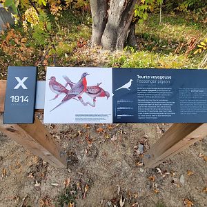 Zoo Sauvage 10/22 -  Passenger Pigeon sign at entrance to Laurentian Forest