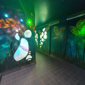 Zoo Sauvage 10/22 -  Laurentian Forest, beaver building