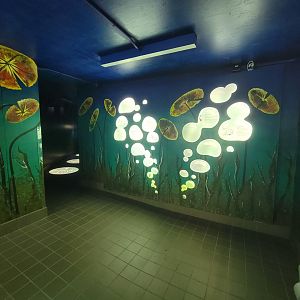 Zoo Sauvage 10/22 -  Laurentian Forest, beaver building