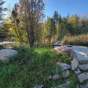 Zoo Sauvage 10/22 -  Laurentian Forest, roof of beaver building