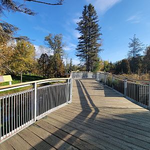 Zoo Sauvage 10/22 -  Laurentian Forest, start of boardwalk