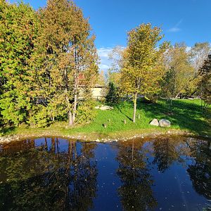 Zoo Sauvage 10/22 -  Laurentian Forest, beaver / striped skunk / snowshoe hare / woodchuck exhibit