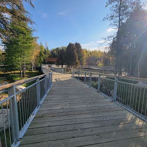 Zoo Sauvage 10/22 -  Laurentian Forest, boardwalk