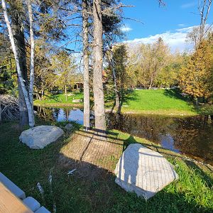 Zoo Sauvage 10/22 -  Laurentian Forest, beaver / striped skunk / snowshoe hare / woodchuck exhibit